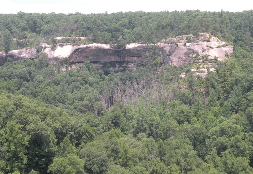 Gladie Creek, Red River Gorge